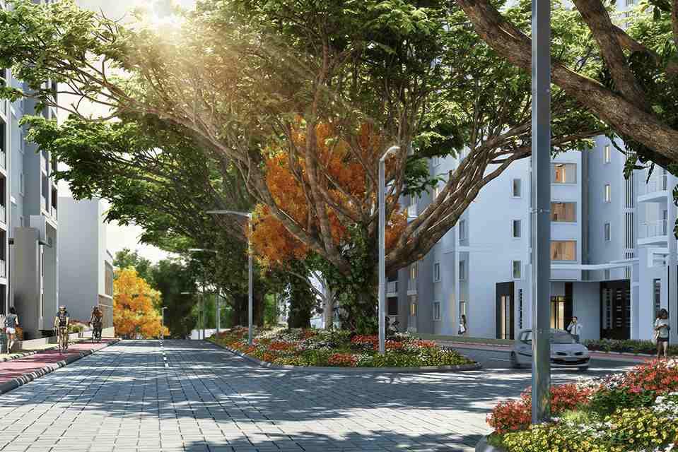 L and T Raintree Boulevard