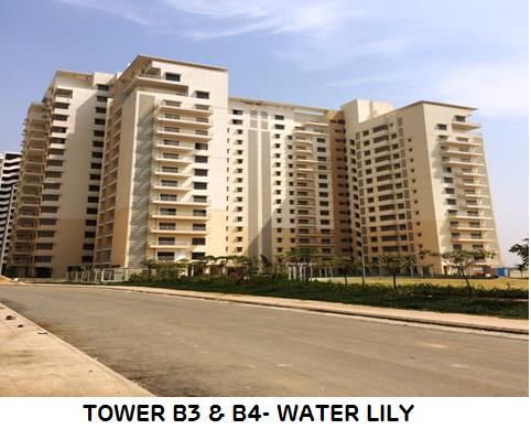 Adani Shantigram Water Lily