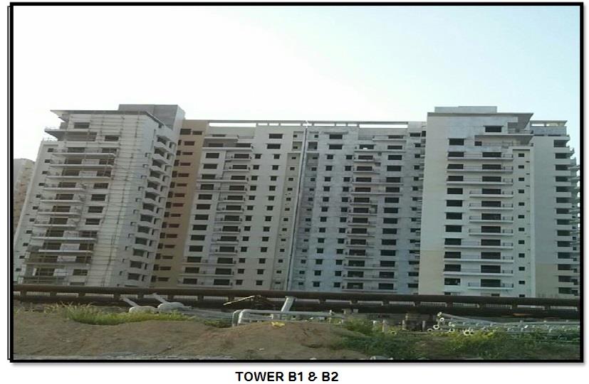 Adani Shantigram Water Lily