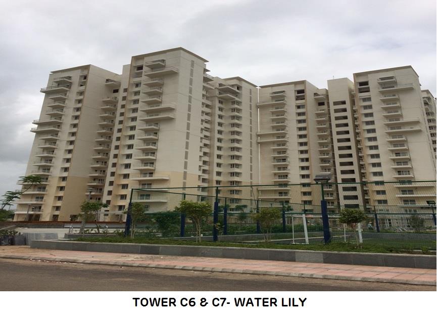 Adani Shantigram Water Lily