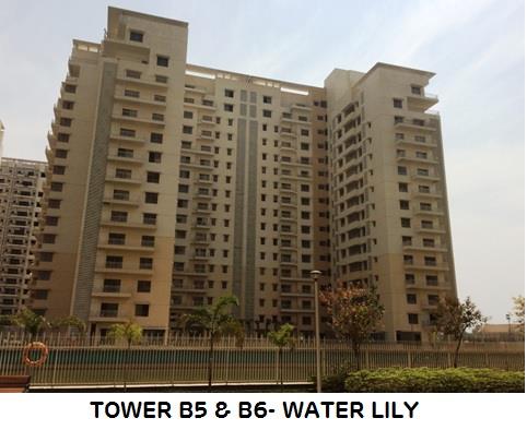 Adani Shantigram Water Lily