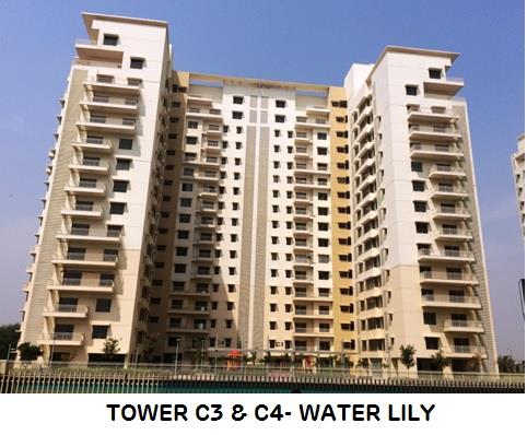 Adani Shantigram Water Lily