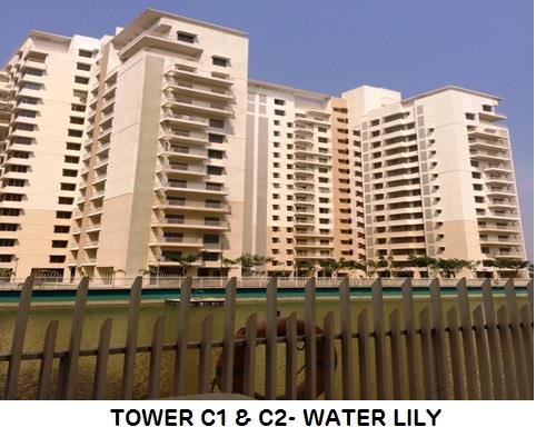 Adani Shantigram Water Lily