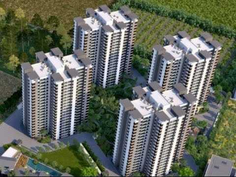 Alembic Urban Forest