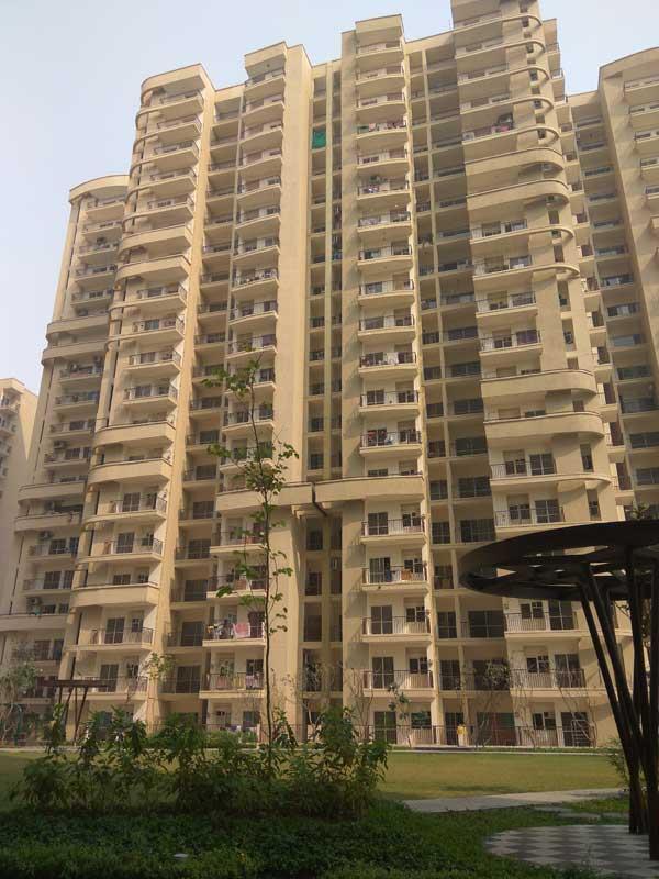 Aims Angel Golf Avenue II