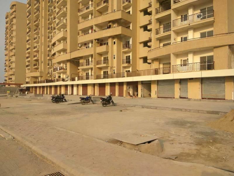 Aims Angel Golf Avenue II