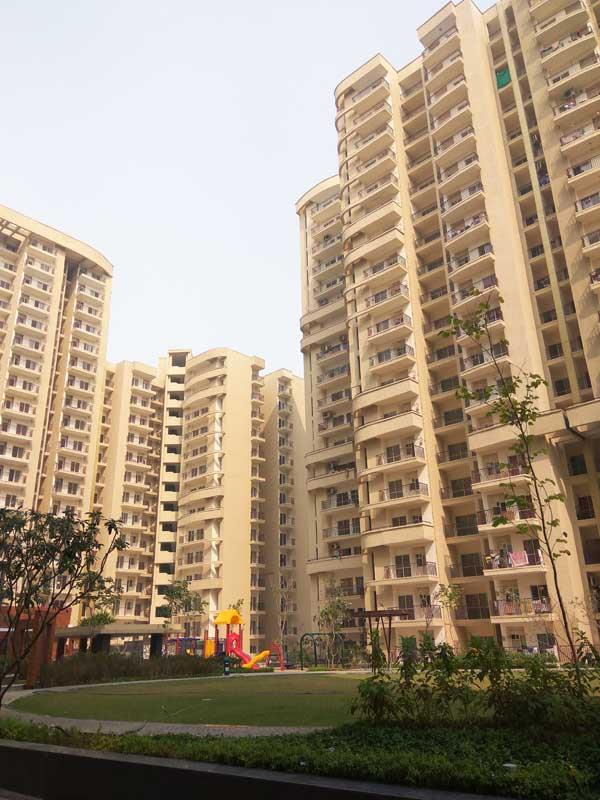 Aims Angel Golf Avenue II