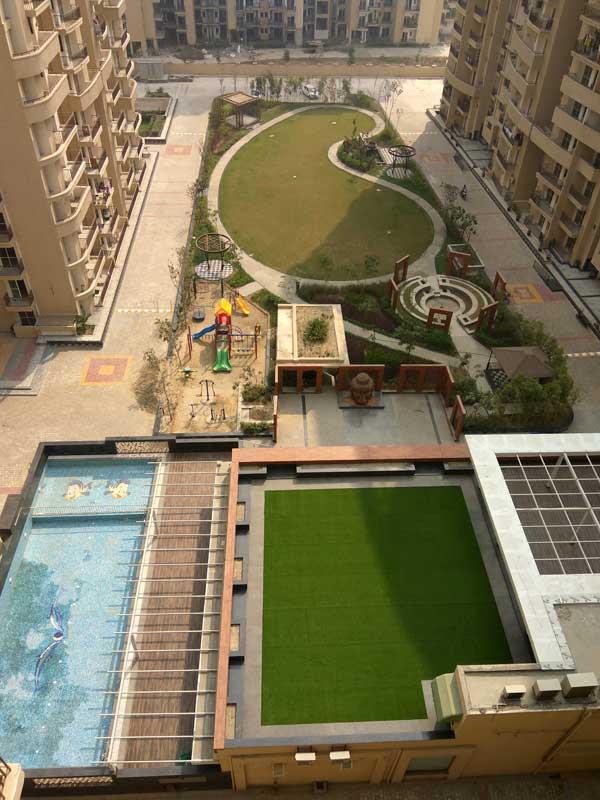 Aims Angel Golf Avenue II