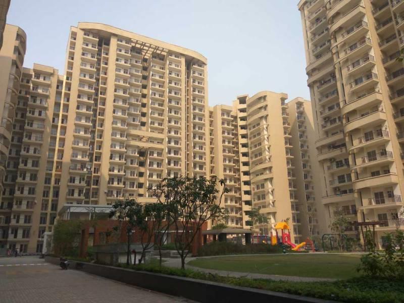 Aims Angel Golf Avenue II