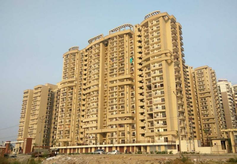 Aims Angel Golf Avenue II