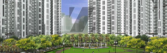 DLF New Town Heights 91