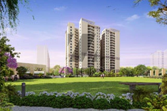 Vatika Gurgaon 21