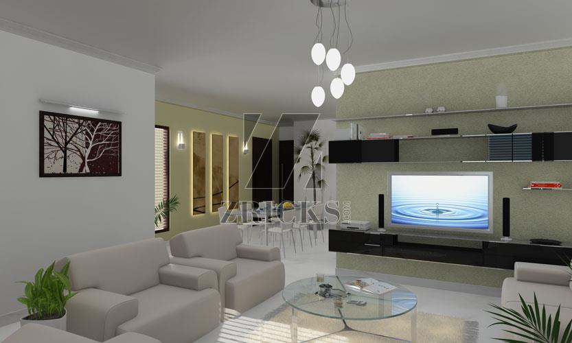 Orris Aster Court Premier