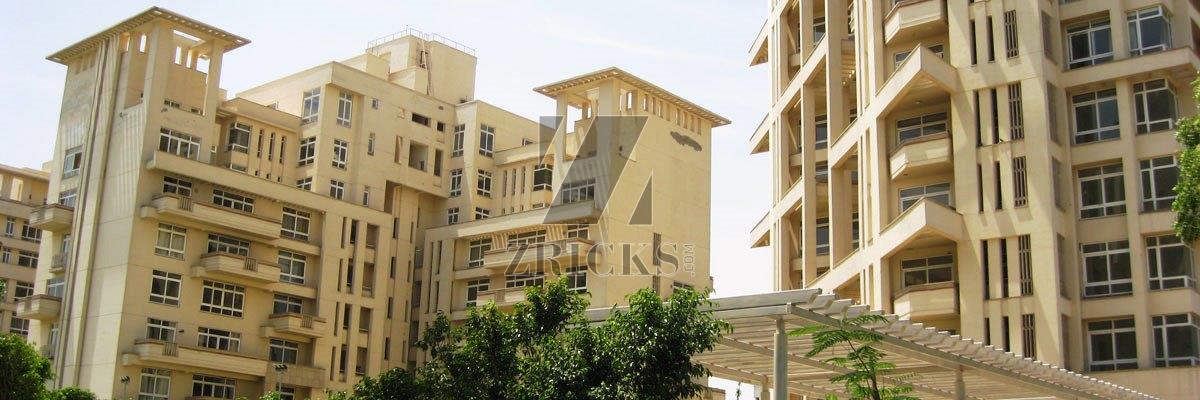 Silverglades The IVY