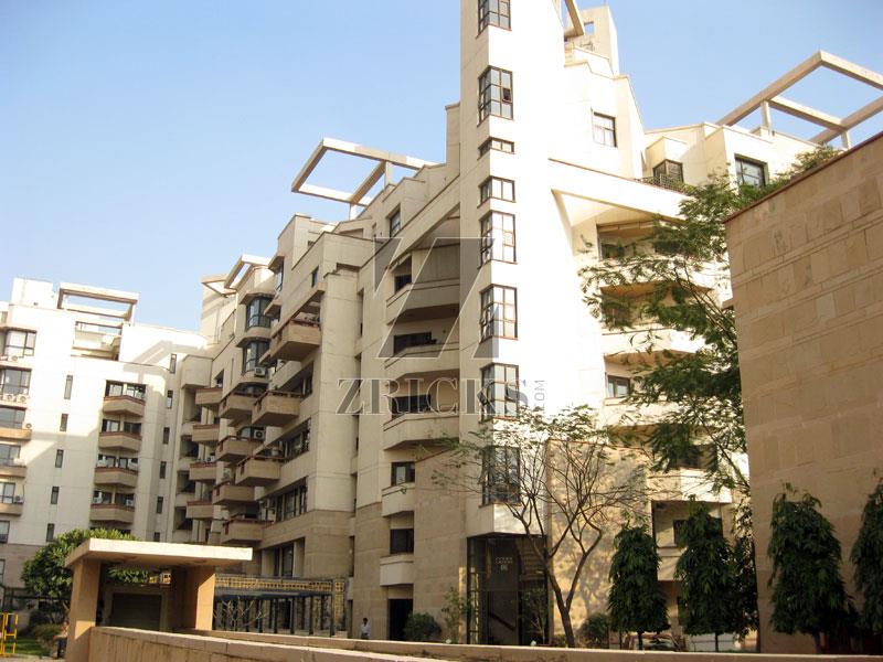 Silverglades The IVY