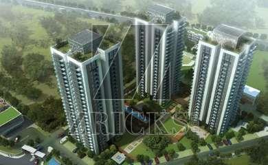 Conscient Heritage One