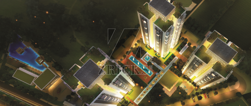 Conscient Heritage One