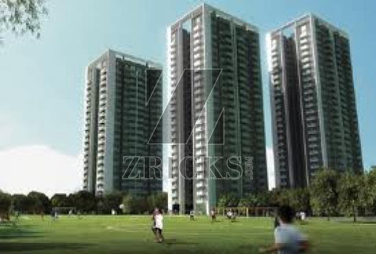 Conscient Heritage One