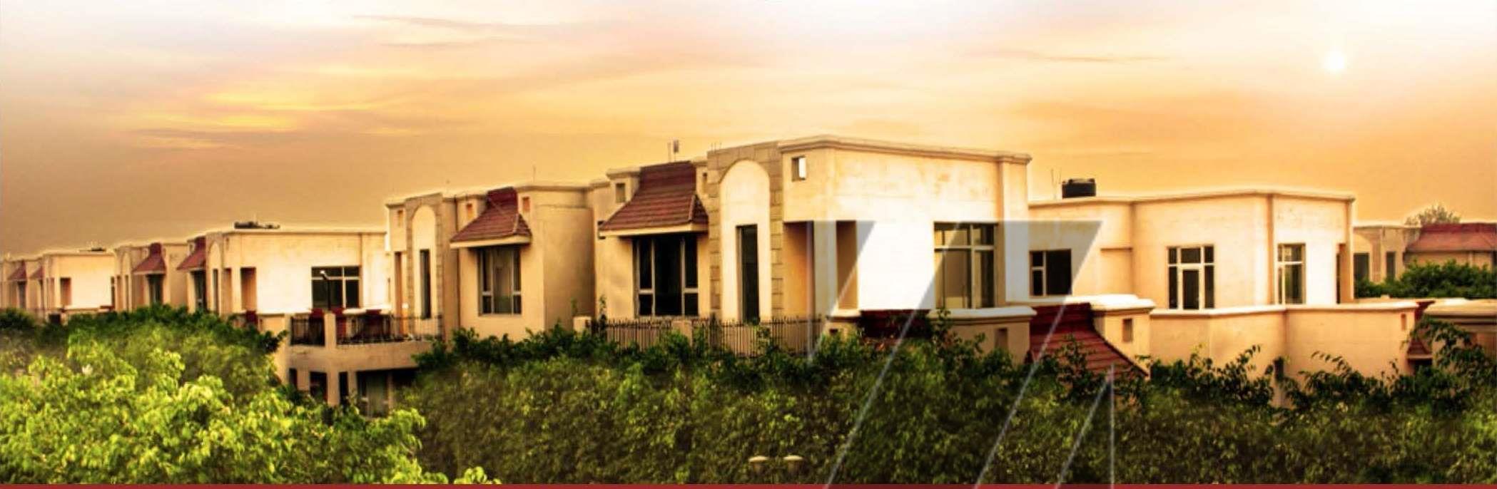 Mittals Royale Orchards