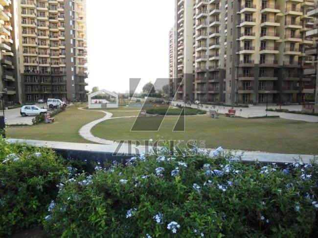 DPL Aravali Heights