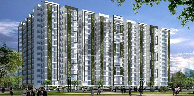 Andromida Planet One