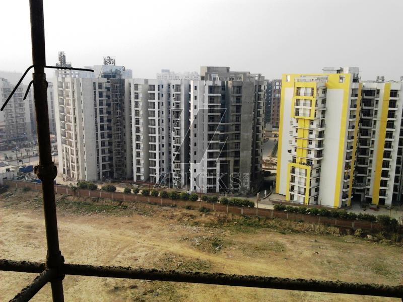 KDP MGI Grand Savanna