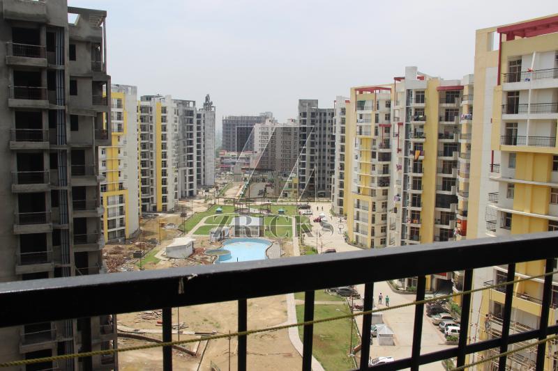 KDP MGI Grand Savanna