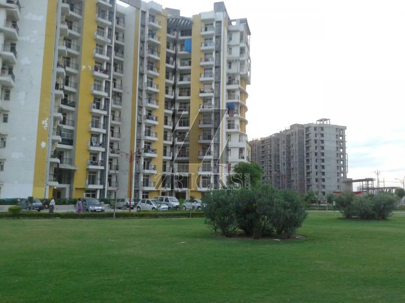 KDP MGI Grand Savanna