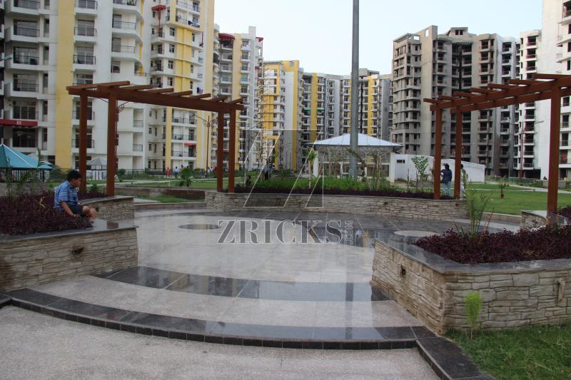 KDP MGI Grand Savanna