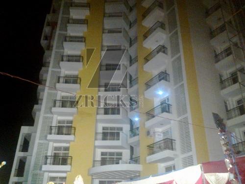 KDP MGI Grand Savanna