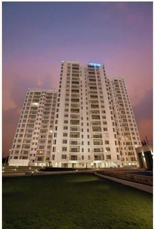 TCG The Cliff Garden