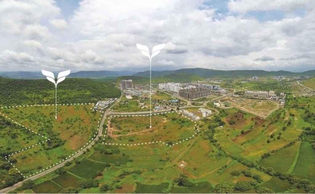 TCG The Cliff Garden