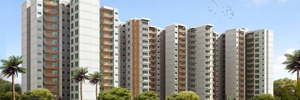Tulsiani Urban Woods