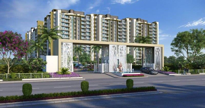 Manglam Rangoli Greens