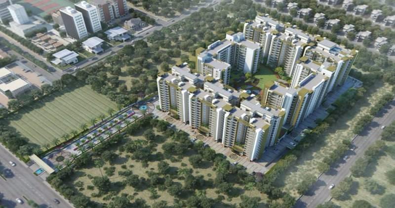 Manglam Rangoli Greens