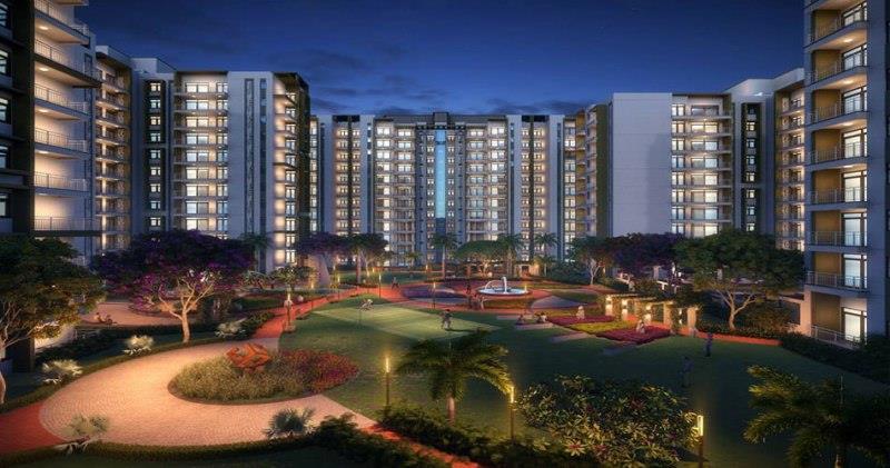 Manglam Rangoli Greens