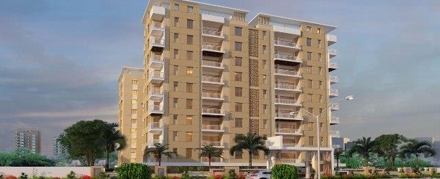 Kotecha Royal Regalia