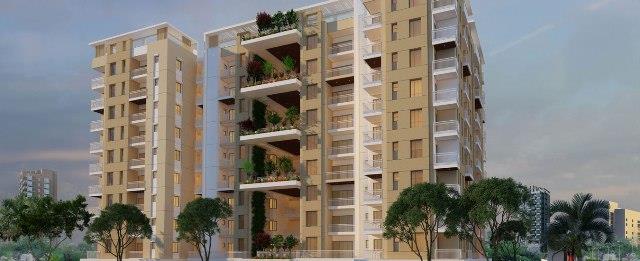 Kotecha Royal Regalia