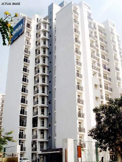 Rishita Celebrity Greens