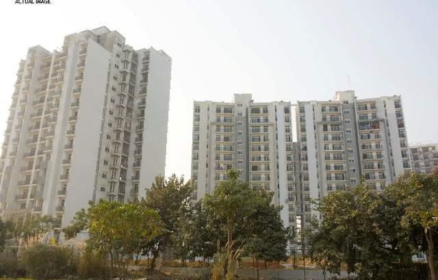 Rishita Celebrity Greens