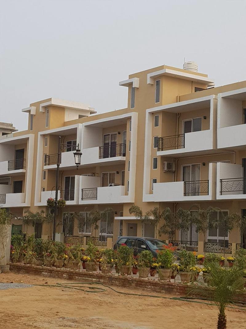 Central Park Flamingo Floors