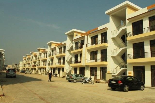 Primary Arcadia Park East