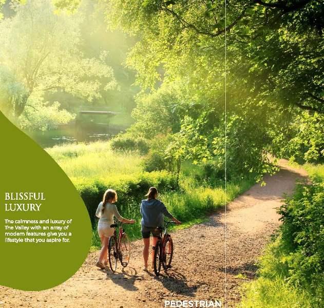 Supertech The Valley