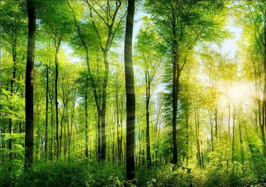 Urbanrise Jubilee Residences