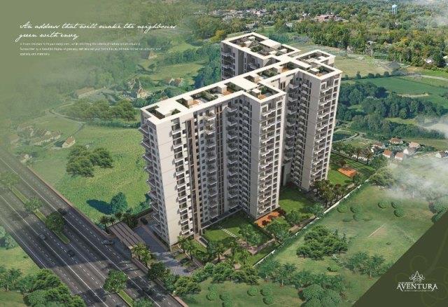 Felicity Roongtas Aventura