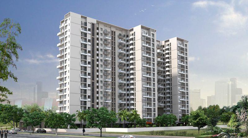 Felicity Roongtas Aventura