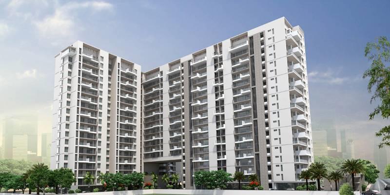 Felicity Roongtas Aventura