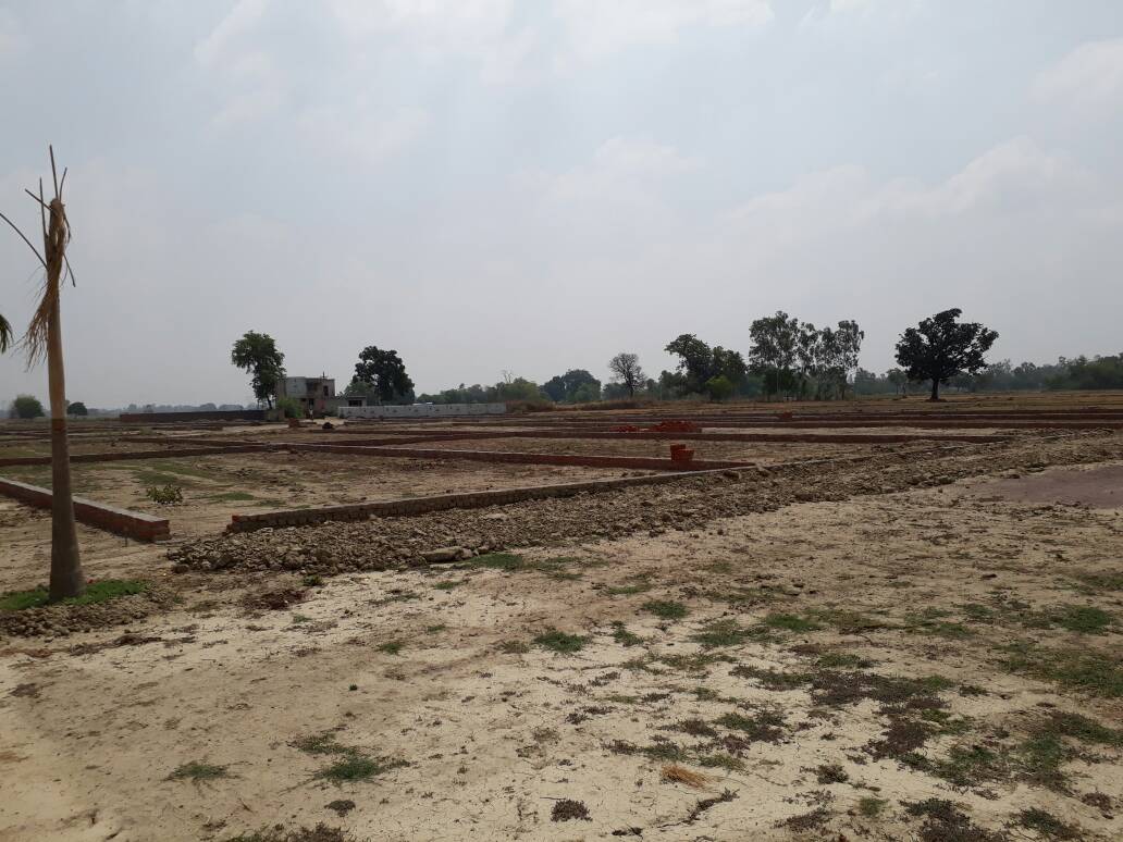 SHINECITY GREEN HOMES