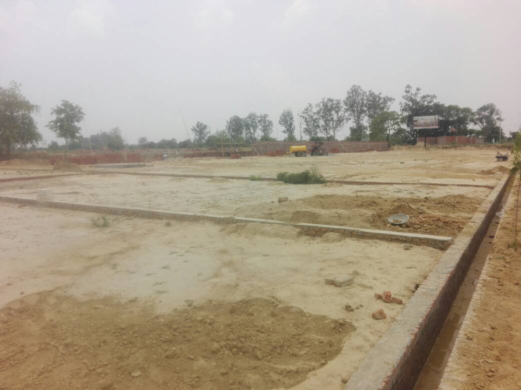 SHINECITY GREEN HOMES