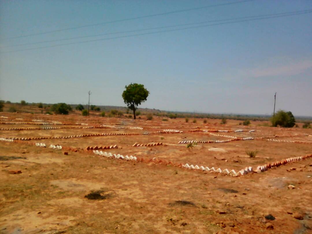 SHINECITY GREEN HOMES